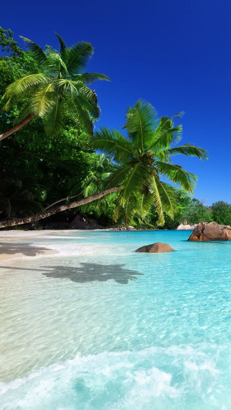 Cabinet Guadeloupe